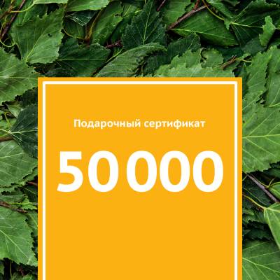 Подарочный сертификат 50000